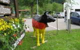 Allgäu 2010