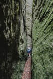 NaturWanderPark delux: Felsenweg - Berdorf - Siewenschlueff
