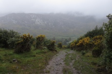 Irland – Beara Way – Von Glengarriff nach Adrigole