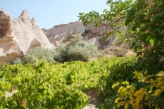 Kappadokien: Wein im Roten Tal