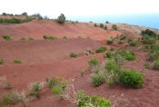 La Gomera: Erosionslandschaft