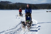 Lapplands Drag – Husky Expedition: Auf der Einführungstour