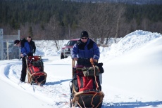 Lapplands Drag – Husky Expedition: Startaufstellung