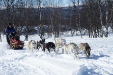 Lapplands Drag – Husky Expedition: Los geht's!