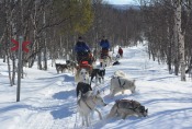 Lapplands Drag – Husky Expedition: Erste Pause