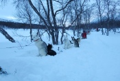 Lapplands Drag – Husky Expedition: Nachtlager an der Mankeforshütte