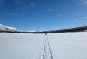 Lapplands Drag – Husky Expedition: Nur noch unsere Spur