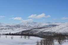 Lapplands Drag – Husky Expedition: Im Vindelfjällen