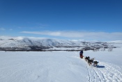 Lapplands Drag – Husky Expedition: Aufstieg aufs Hochplateau