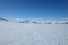 Lapplands Drag – Husky Expedition: Hochplateau im Vindelfjällen