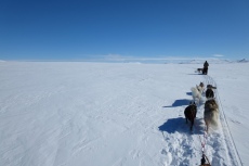 Lapplands Drag – Husky Expedition: Hochplateau im Vindelfjällen
