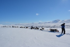 Lapplands Drag – Husky Expedition: Auf dem Hochplateau