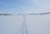 Lapplands Drag – Husky Expedition