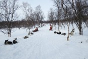 Lapplands Drag – Husky Expedition: Parkplatz