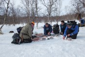 Lapplands Drag – Husky Expedition: 40 Fressnäpfe wollen gefüllt werden
