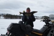 Lapplands Drag – Husky Expedition: Ein Hecht frisch aus der Falle