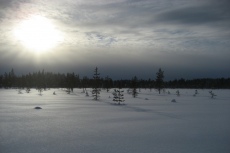 Lapplands Drag: Fahle Wintersonne