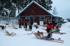 Lapplands Drag: Zurück auf der Farm