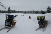Lapplands Drag: Startvorbereitungen