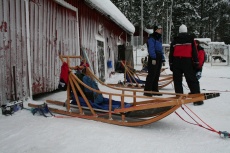 Lapplands Drag: Gut gesicherter Schlitten vor dem Start