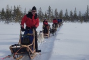 Lapplands Drag: Unser Treck beim Fotostopp