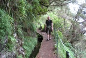 Madeira - Levada do Caldeirao Verde