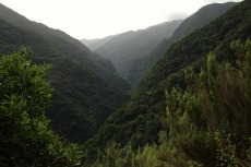 Madeira - Ribeira da Janela