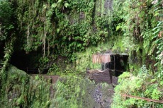 Madeira - Wasserfall an Levada da Janela