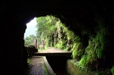 Madeira - Blick aus dem Tunnel