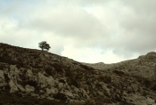 Mallorca - karge Landschaft