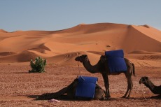 Marokko: Vor den Sanddünen des Erg Chebbi