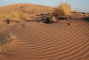 Marokko: Wind formt Sand