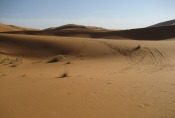 Marokko: Ab in die Wüste...