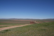 Mongolei: Seltene Ackerbaufläche