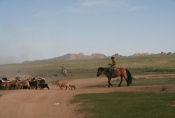 Mongolei: Nomaden mit Ziegenherde