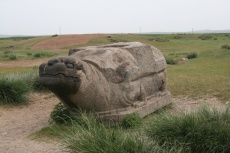 Mongolei: Steinschildkröte