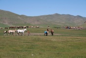 Mongolei: Nomaden mit ihrer Pferdeherde