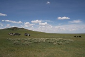 Mongolei: Unsere Autos in der Steppe