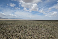 Mongolei: Karge Steinwüste