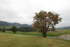 Naturpark Lahn-Dill-Bergland – Boxbachpfad