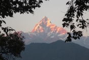 Nepal - Machapuchare (6997m) im Abendrot