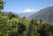 Nepal - Subtropische Vegetation vor der Annapurna