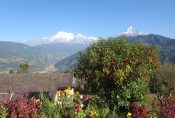 Nepal - Annapurna-Massiv von der Hananoie-Lodge