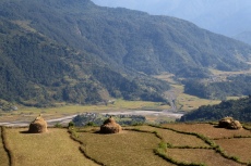 Nepal - Abgeerntete Reis- und Hirsefelder