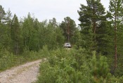 Nordkap, Hurtigruten und Lofoten: Miet-Volvo in schwedischer Wildnis