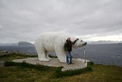 Nordkap, Hurtigruten und Lofoten: Eisbär von Hammerfest