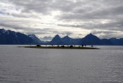Nordkap, Hurtigruten und Lofoten: Insel im Hadselfjord