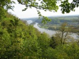 Rheinsteig #1 - Rheinblick