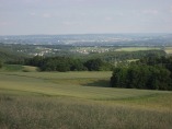 Rheinsteig #5 - Schau ins Land