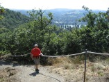 Rheinsteig #8 - Abstieg nach Braubach